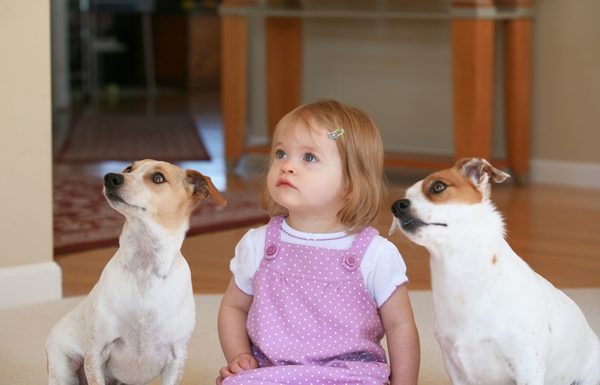 infants and dogs